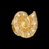 Bague - Golden Ammonite