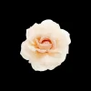 Barrette - Peach Blossom