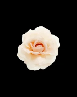 Barrette - Peach Blossom