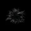 Barrette - Wonderful Darkness