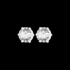Boucles d'oreilles - Fine Sparkling Moments