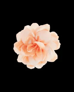 Broche - Apricot Flower
