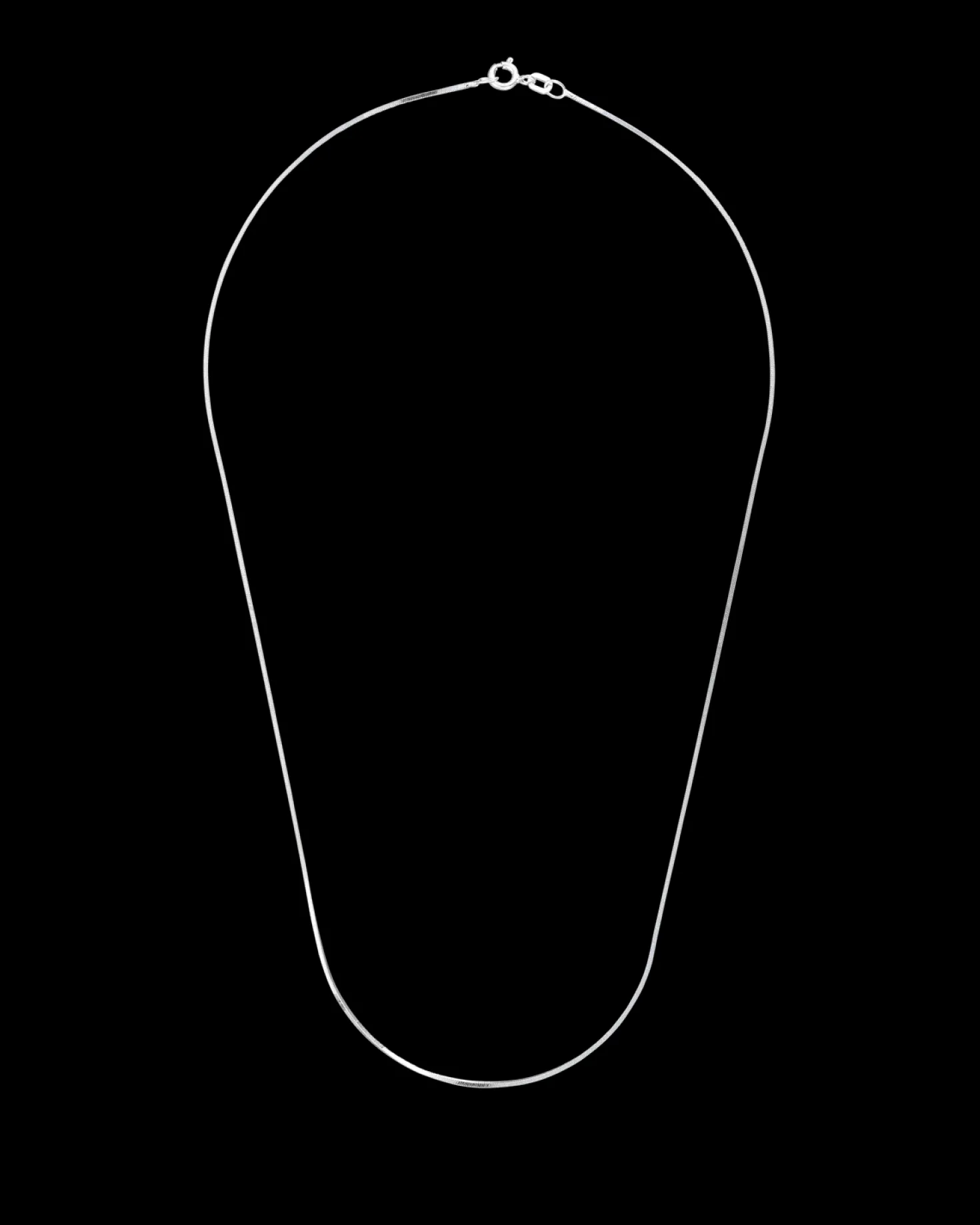 Chaîne - Silver Snake
