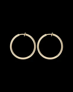 Clips - Golden Beauty