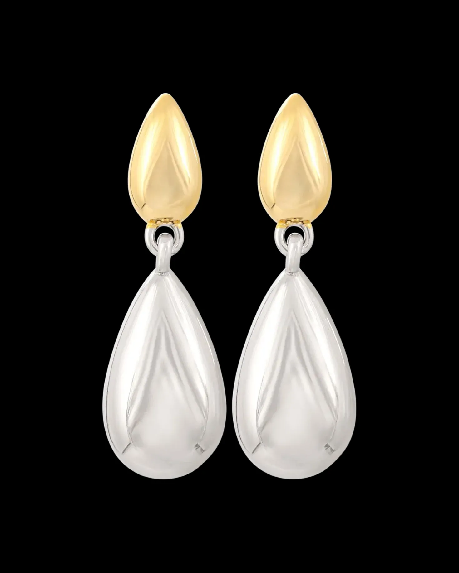Clous d'oreilles - Bicolor Wonder