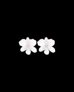 Clous d'oreilles - Bright Statement