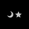 Clous d'oreilles - Moon Star