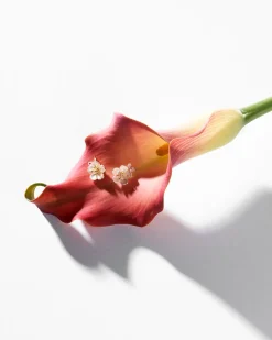 Clous d'oreilles - Noble Blossom