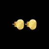 Clous d'oreilles - Radiant Plates