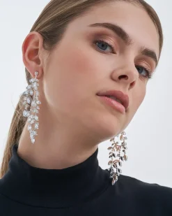 Clous d'oreilles - Silver Moments