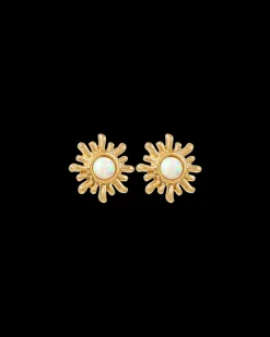 Clous d'oreilles - Snazzy Sun