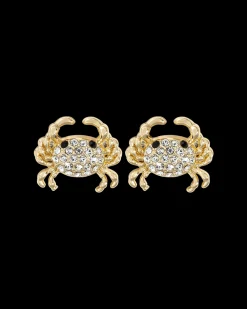 Clous d'oreilles - Sparkling Claws