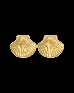 Clous d'oreilles - Steel Shell