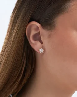 Clous d'oreilles - Stunning Shine