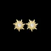 Clous d'oreilles - Sunny Sparkle