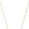 Collier - Delicate Link