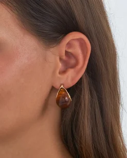 Créoles - Amber Brown