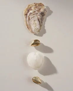Créoles - Golden Shells