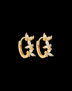Créoles - Golden Spring