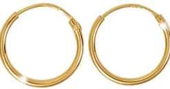 Créoles - Mini Goldies
