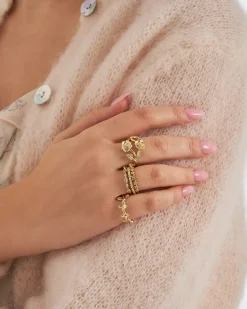 Ensemble de bagues - Golden Rose