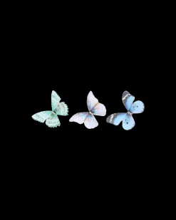 Ensemble de barrettes - Fairy Wings