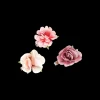 Ensemble de barrettes - Flower Dream