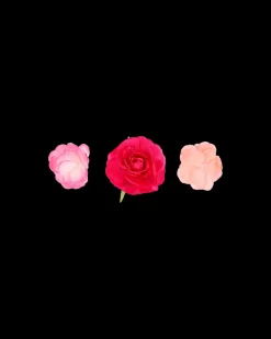 Ensemble de barrettes - Pink Flowers
