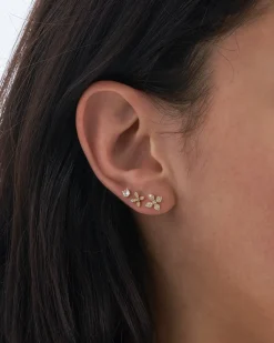 Ensemble de clous d'oreilles - Floral Fizz