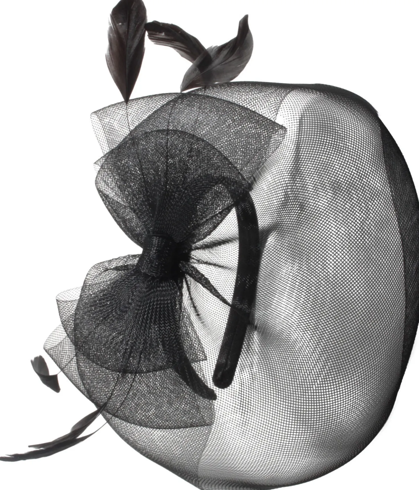 Fascinator - Black Beauty