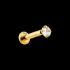 Piercing - Golden Seduction