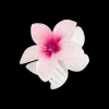 Pince à cheveux - Aloha Spring
