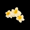 Pince à cheveux - Aloha Yellow