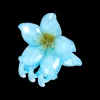 Pince à cheveux - Glossy Blossom