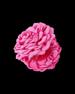 Pince à cheveux - Pink Blossom