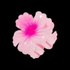 Pince à cheveux - Pink Summer