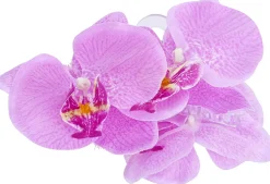 Pince à cheveux - Purple Orchid