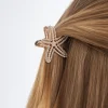 Pince à cheveux - Wonderful Star