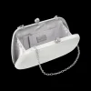 Pochette rigide - Silver Sparkles