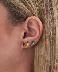 Set de boucles d'oreilles – Tropical Paradise